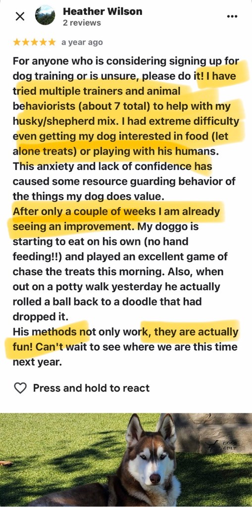 Heather Wilson 5-star Google review