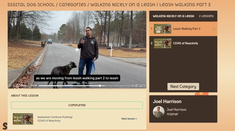 Digital Dog School lesson showing Joel teaching leash walking, a video player and lesson navigation