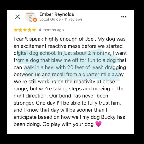 Original review from Ember Reynolds, Google review