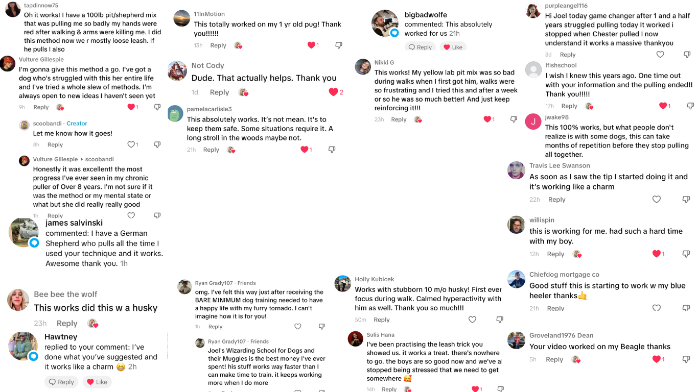 Comment screenshots from viewers saying Joel's training worked for their dogs.