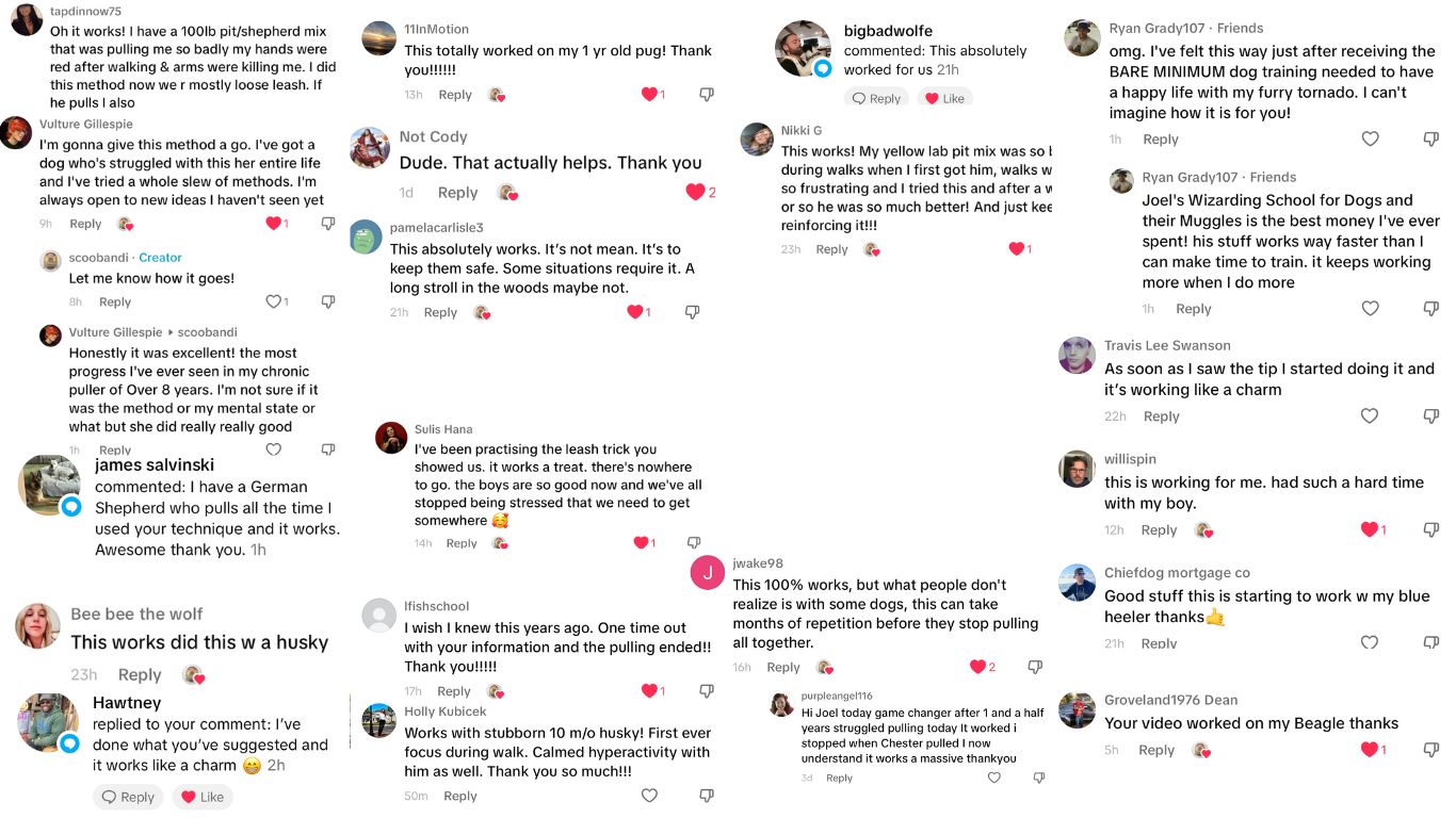 Comment screenshots about Joel's training results.