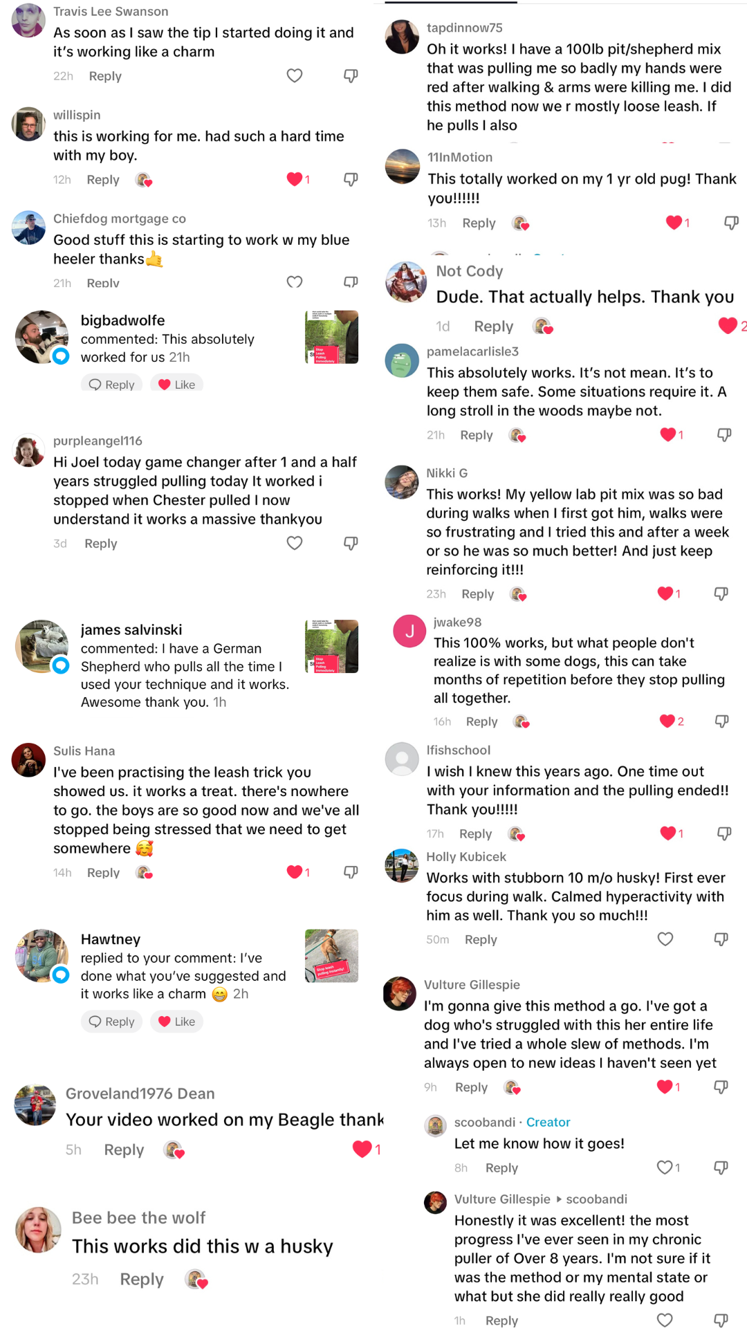 Comment thread about how the training helped viewers' dogs.