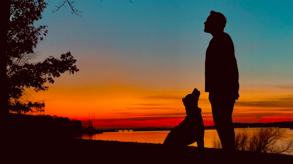 A person and their dog sitting together in silhouette at sunset by the water.