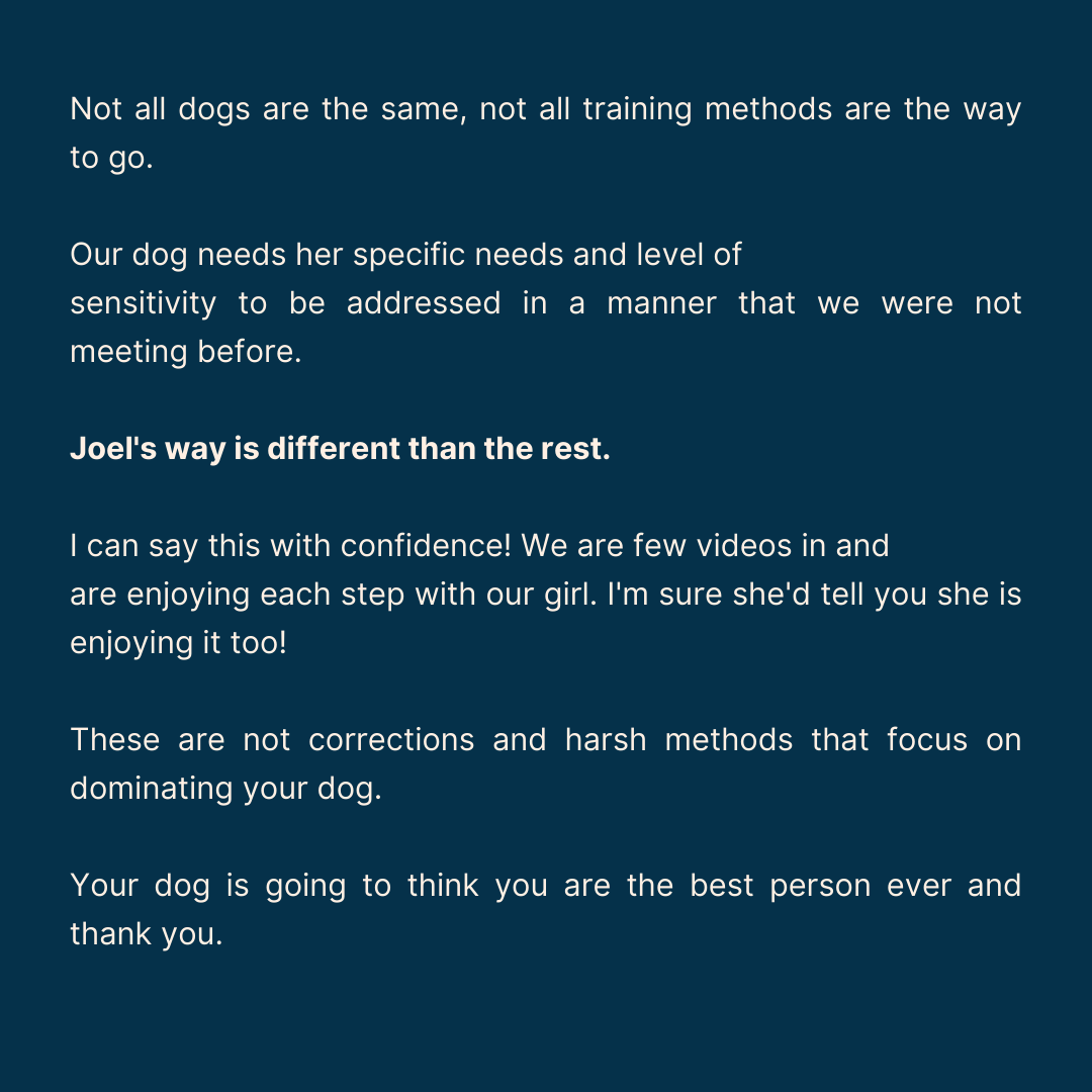 Review saying Joel's way is different than the rest, individualized to the dog, not harsh corrections or dominance.