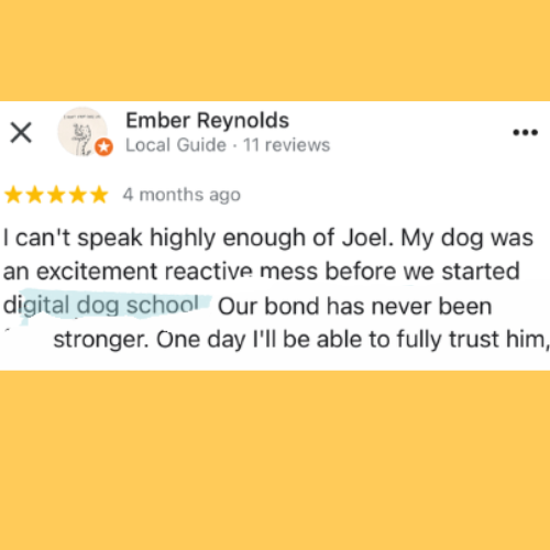 Five-star review from Ember Reynolds: my dog was an excitement reactive mess before Digital Dog School; our bond has never been stronger.
