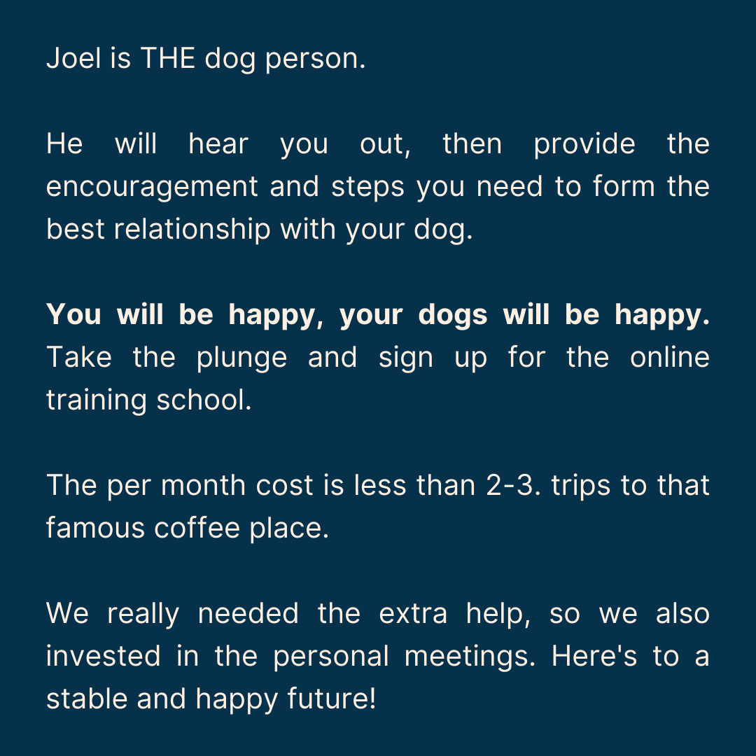 Review saying Joel is THE dog person and recommending signing up for the online training school and personal meetings.